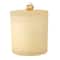 14oz. Scented Fall Icon Filled Candle in Frosted Glass Jar by Ashland®